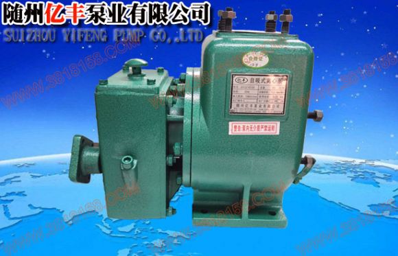 65QZ40/50小型�⑺��水泵
